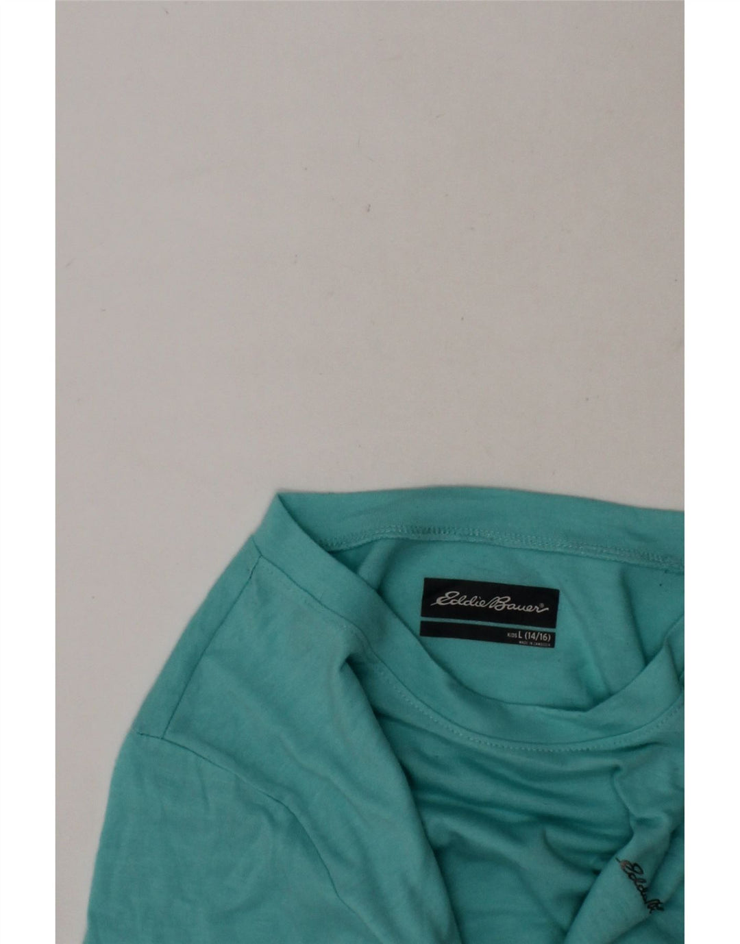 EDDIE BAUER Boys T-Shirt Top 14-15 Years Large  Turquoise Polyester Vintage Eddie Bauer and Second-Hand Eddie Bauer from Messina Hembry 