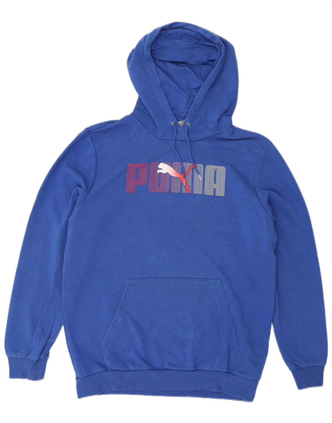 PUMA Mens Graphic Hoodie Jumper Medium Blue Cotton