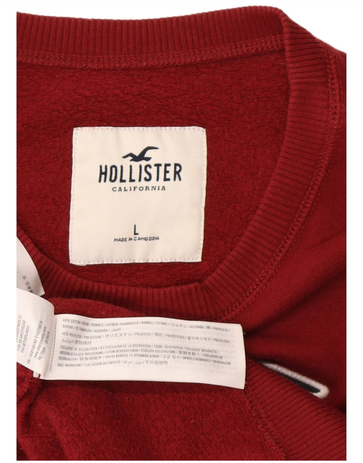 HOLLISTER Muška trenirka s grafičkim motivima, veliki, tamnocrveni pamuk