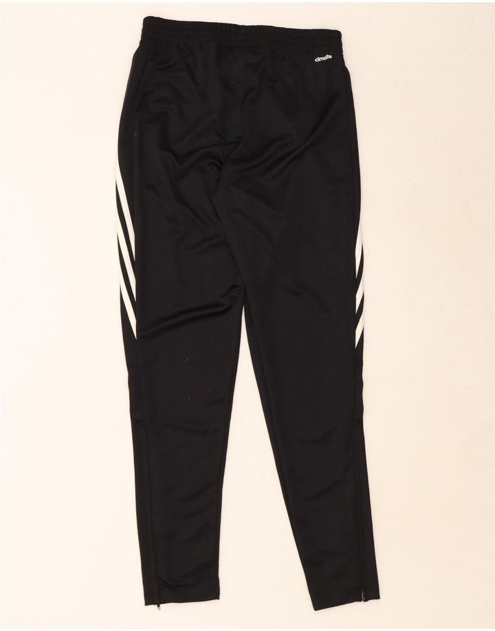 ADIDAS Mens Climalite Tracksuit Trousers Small Black Polyester Vintage Adidas and Second-Hand Adidas from Messina Hembry 