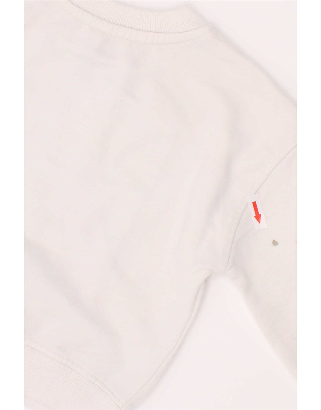 Dkny Boys Graphic Sweatshirt Džemper 2-3 godine, bijeli pamuk