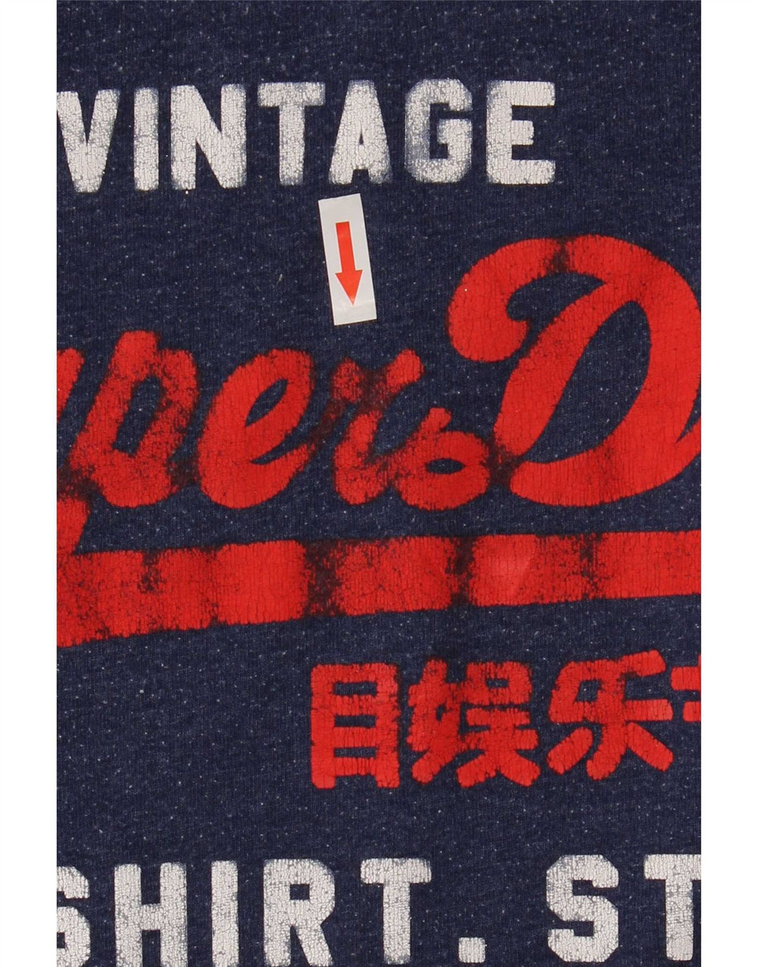 Superdry muška majica s grafičkim motivima, veliki plavi pamuk