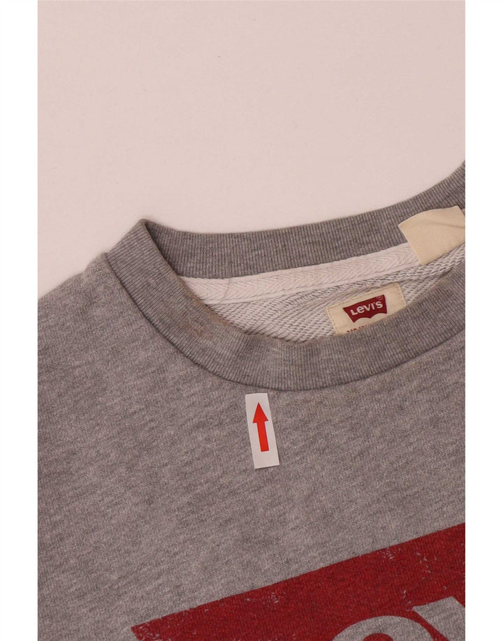 Levi's muška majica s grafičkim motivima, mali sivi pamuk