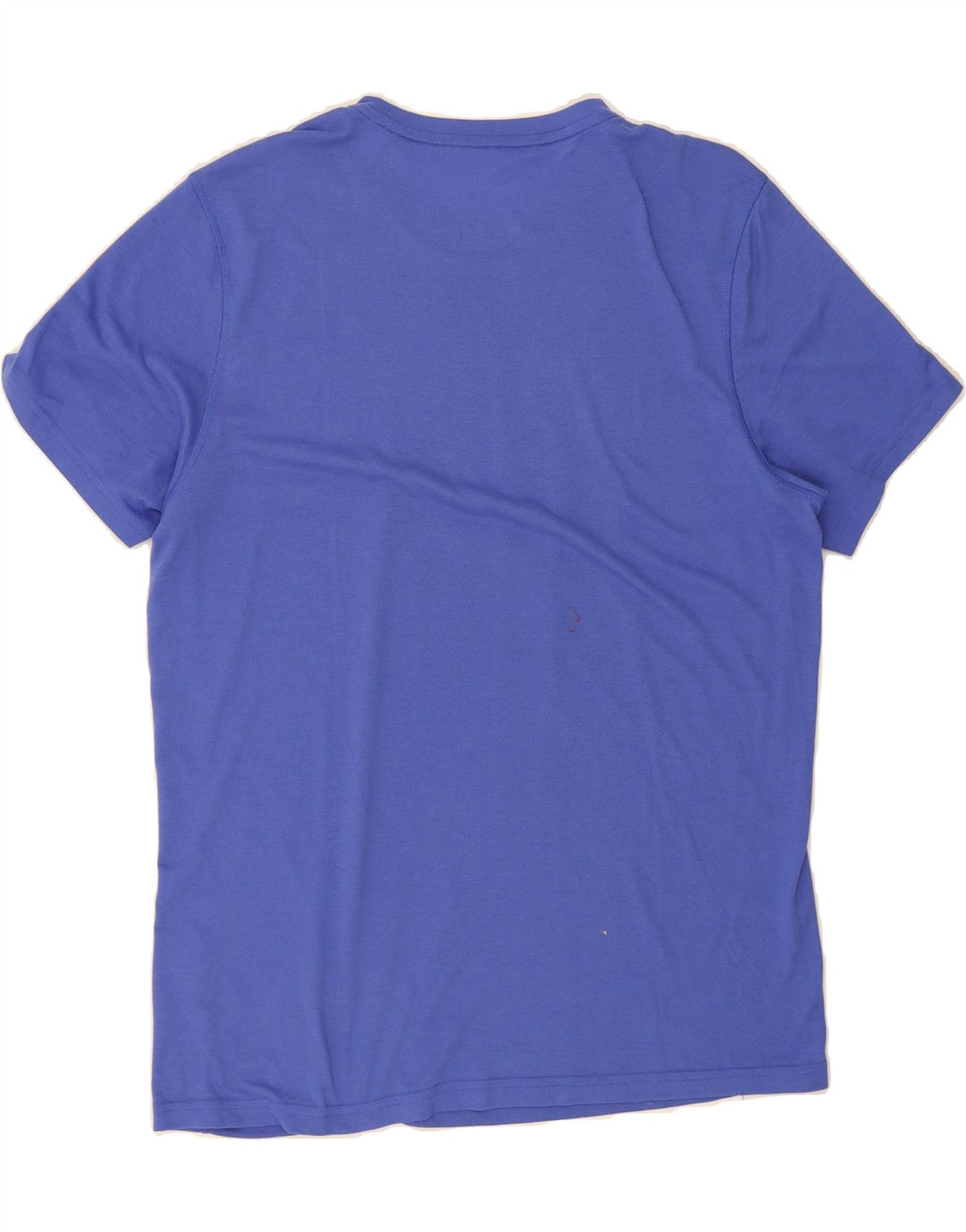 REEBOK Mens Graphic T-Shirt Top Large Blue Vintage Reebok and Second-Hand Reebok from Messina Hembry 
