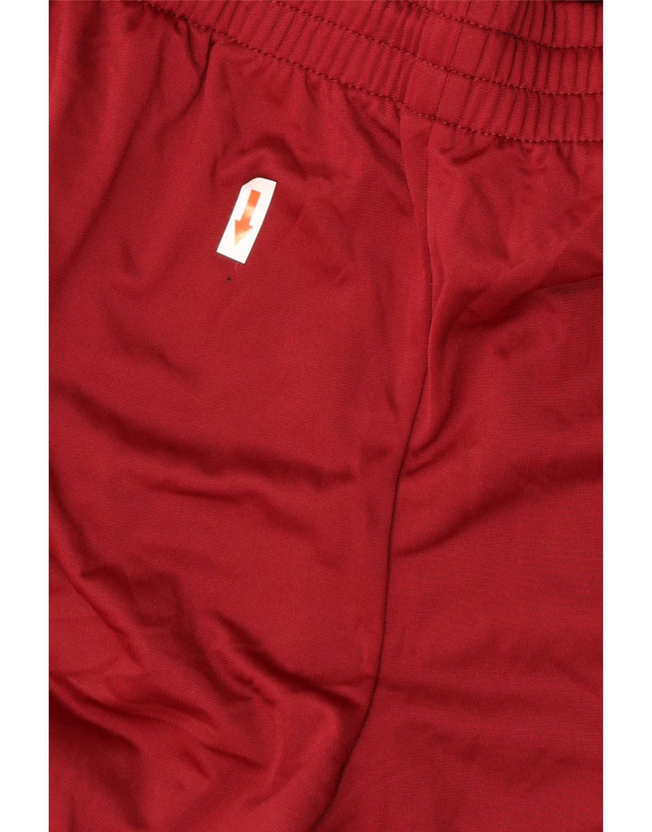 Adidas muške hlače za trenirku, velike bordo poliesterske