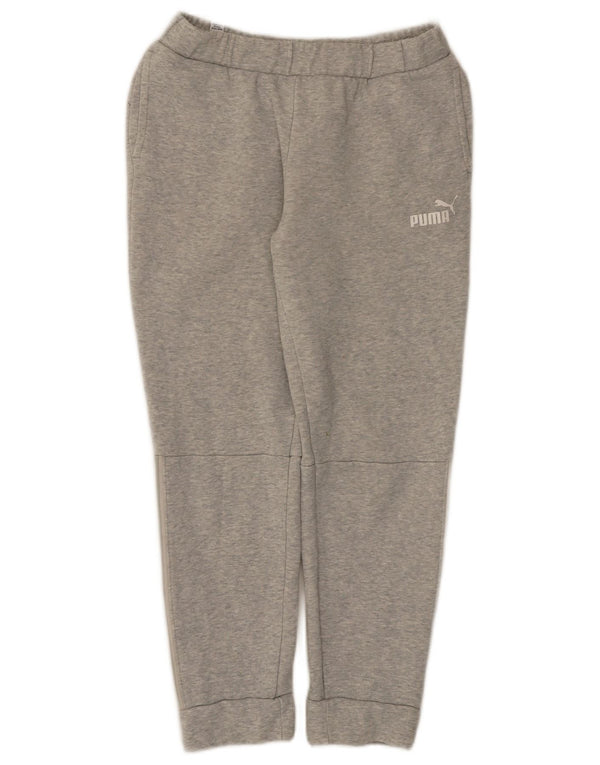 Puma ženske hlače za trenirku s grafičkim motivima Joggers UK 6 XS Grey Flecked