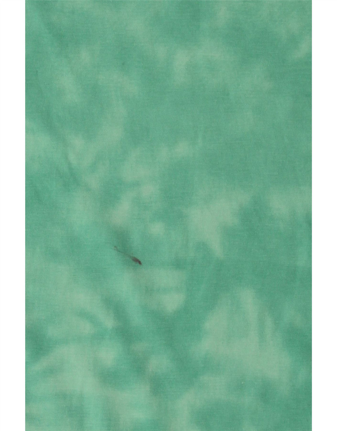 CHAMPION Muška majica kratkih rukava Medium Green Tie Dye