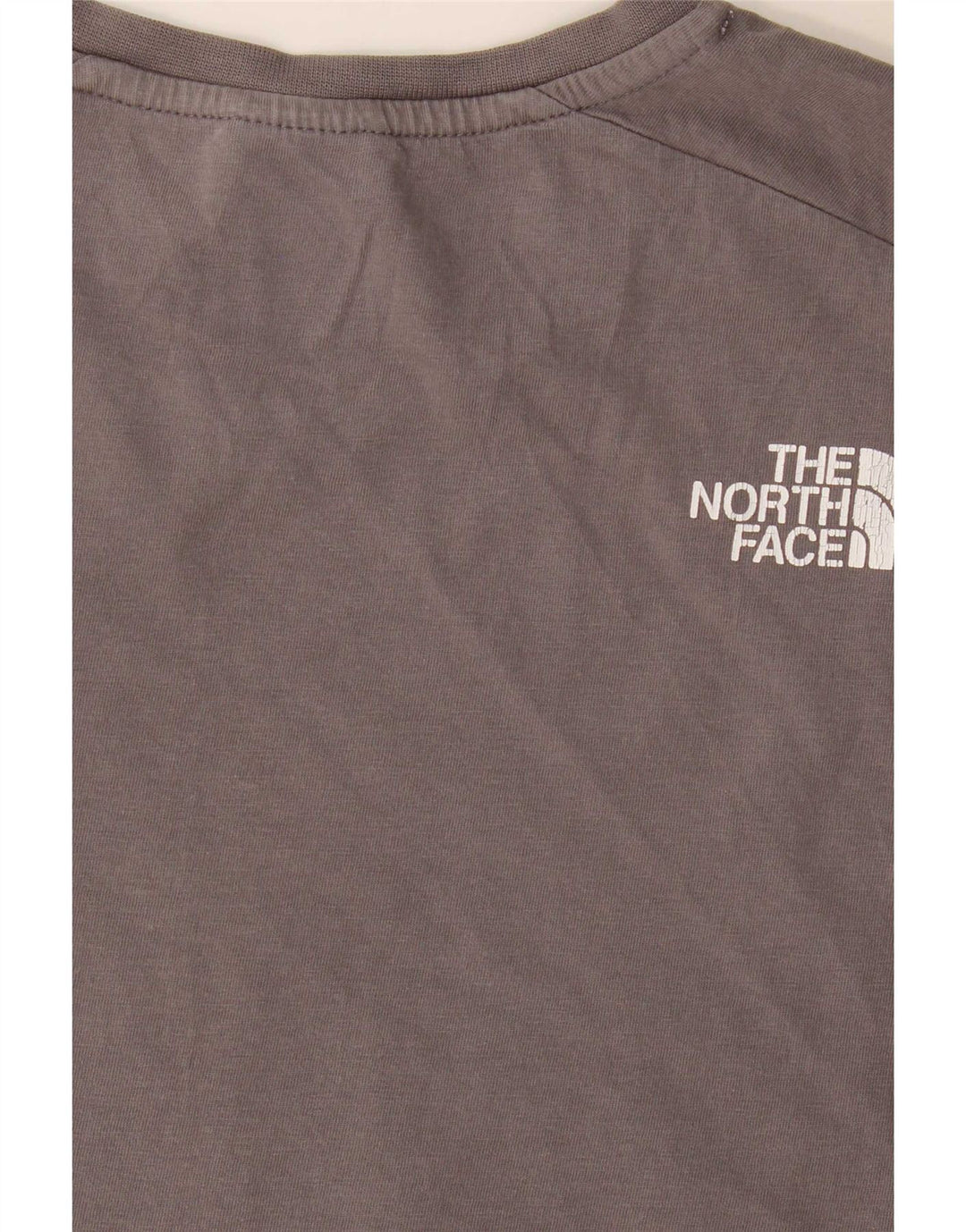 The North Face muška majica kratkih rukava Regular Graphic Mali sivi blok u boji