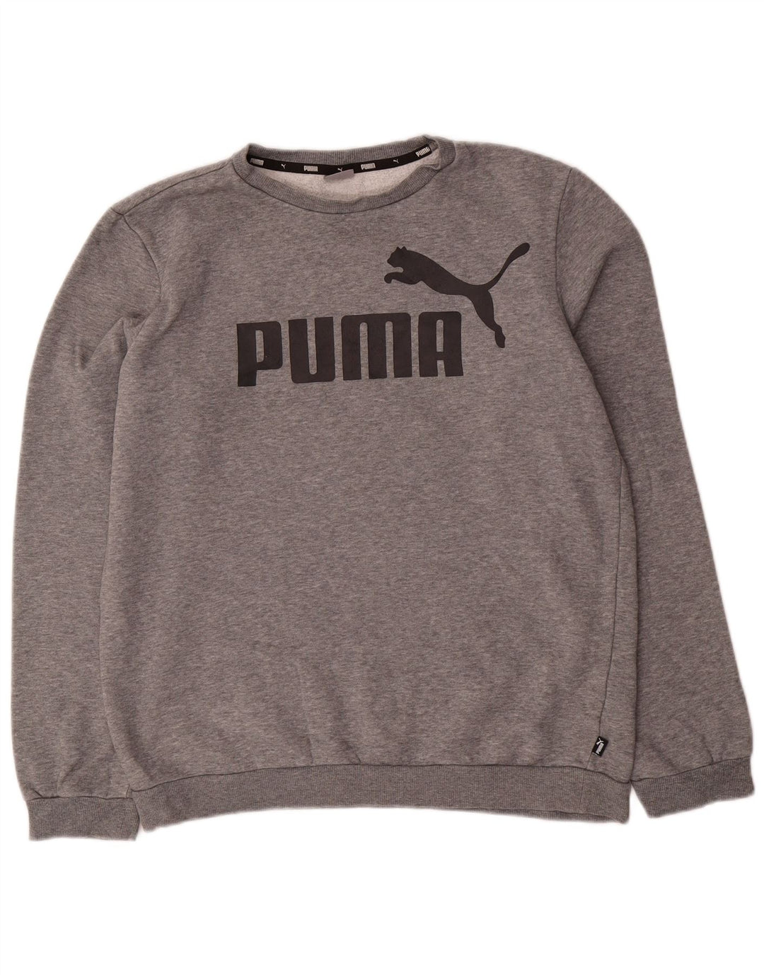 PUMA Boys Graphic Sweatshirt Džemper 15-16 godina sivi pamuk