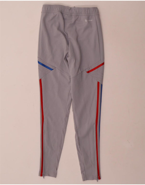 Adidas muške trenirke Olympique Lyonnais Graphic Hlače XS sive