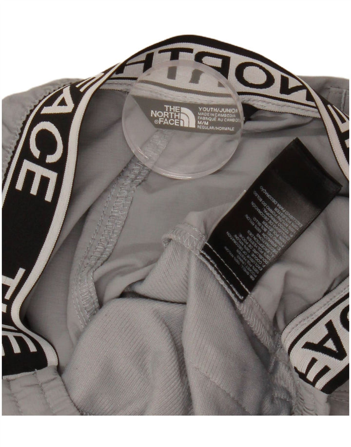 THE NORTH FACE Graphic Cargo hlače za dječake 9-10 godina srednje W24 L24 sive