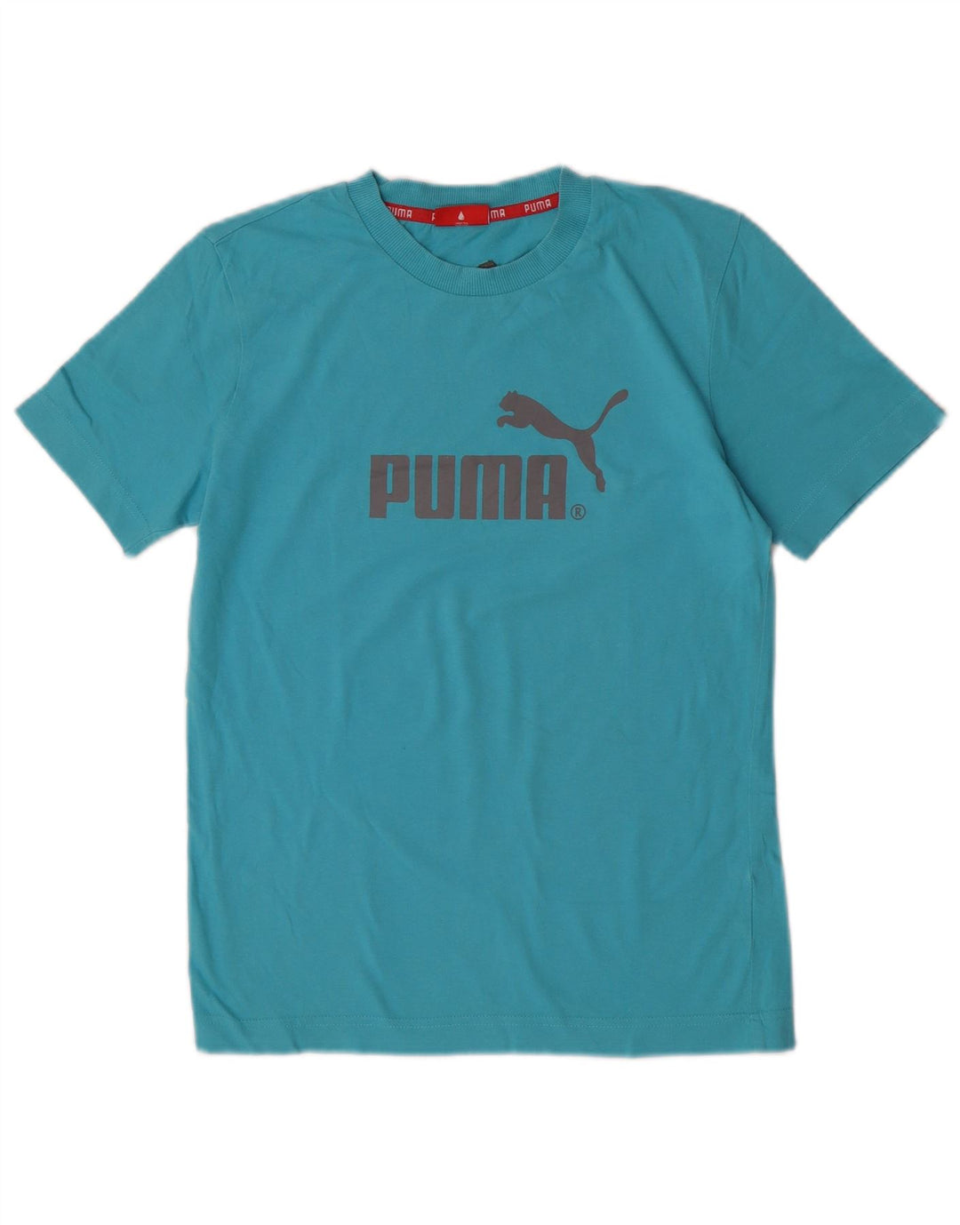 Puma muška majica s grafičkim motivima XS plava