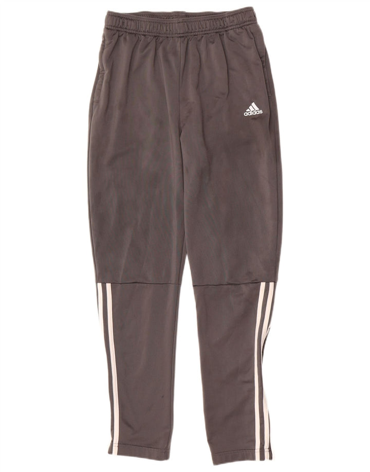 Adidas Hlače za trenirku za dječake 15-16 godina sive od poliestera