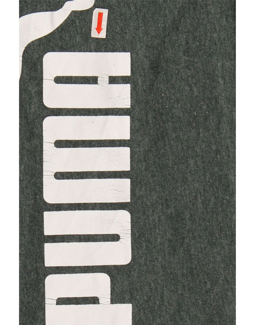 PUMA Muška majica s grafičkim motivima 3XL Green Flected