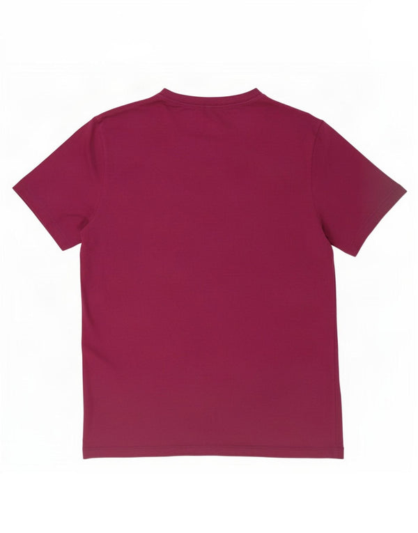 Nike Mens Graphic T-Shirt Top Large Purple Cotton