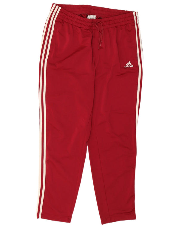 Adidas ženske hlače za trenirku UK 20/22 XL Bordo poliester