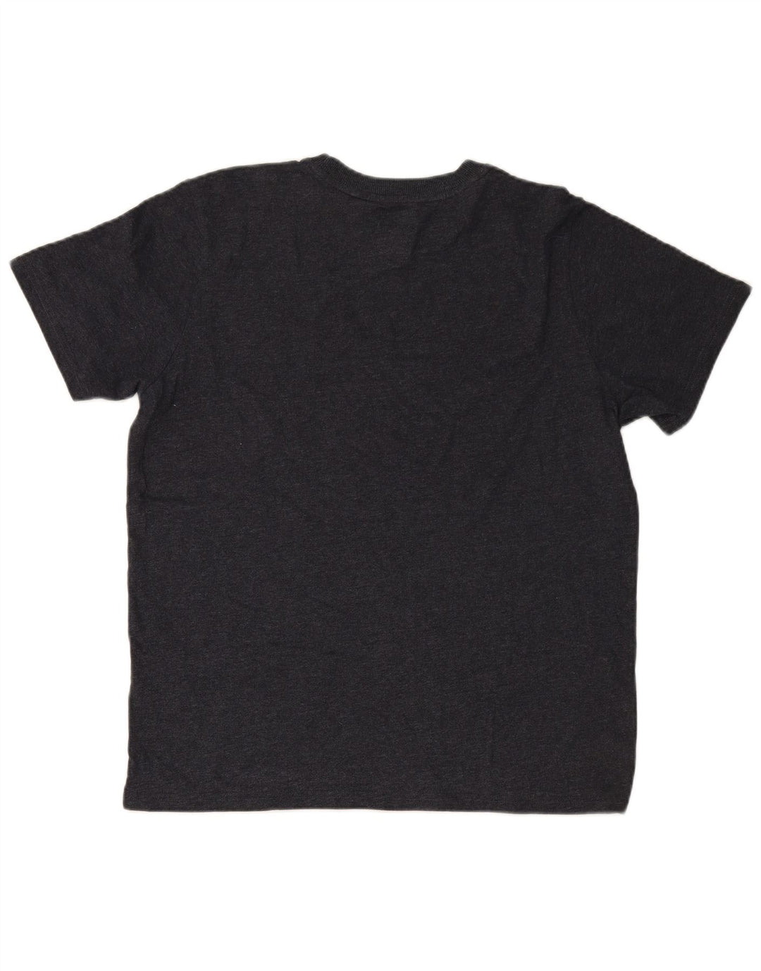 SUPERDRY muška majica s grafičkim motivima XL siva