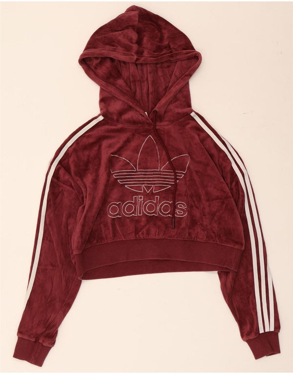 Adidas ženska prekomjerna majica s kapuljačom s kapuljačom UK 4 XS, bordo pamuk