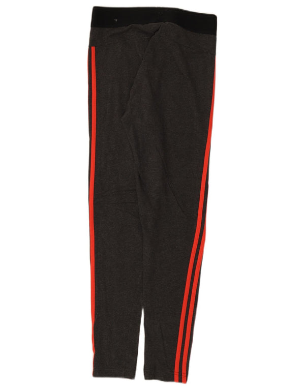 Adidas ženske tajice UK 12/14 pamuk srednje sive boje