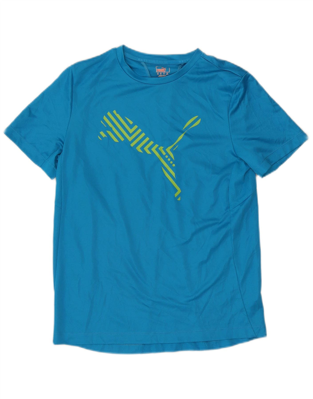 Puma Boys Graphic T-Shirt Top 15-16 Years Blue Poliester