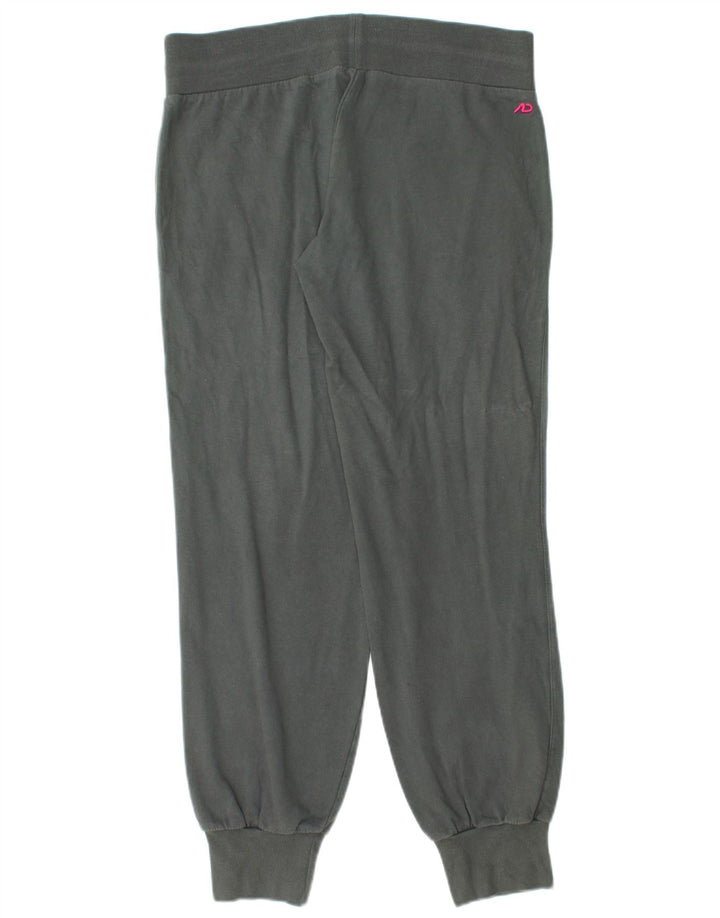 Nike Ženska trenirka Hlače Joggers UK 10 male sive
