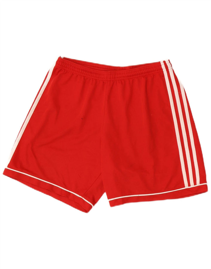 Adidas muške Graphic Regular sportske kratke hlače srednje crvene boje od poliestera