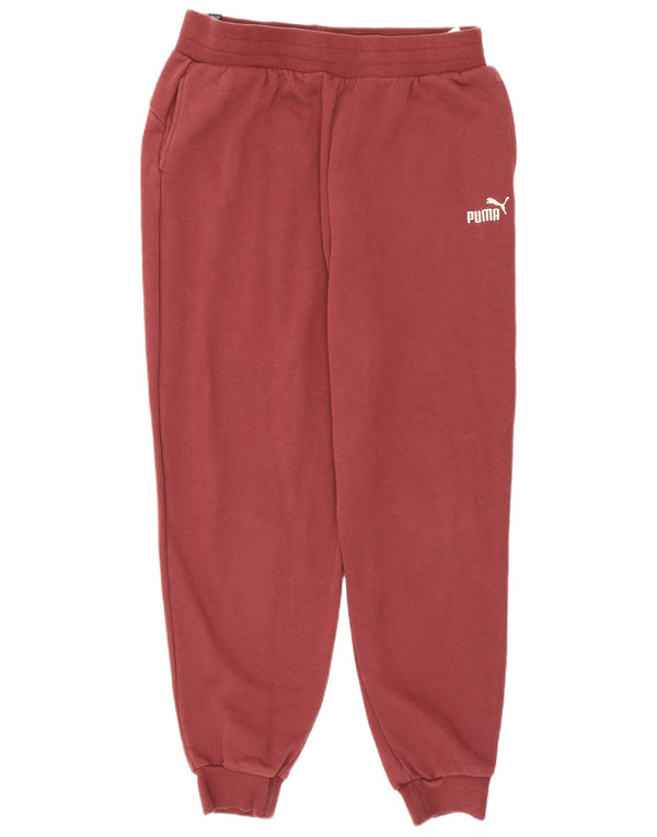 Puma muške trenirke Hlače Joggers Large Burgundy Pamuk