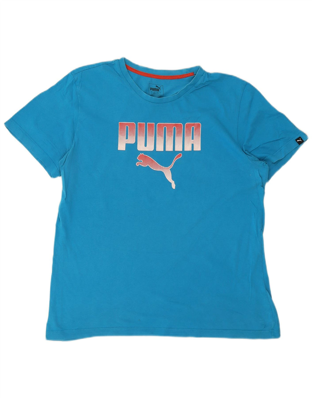 Puma muška velika plava majica s grafičkim motivima