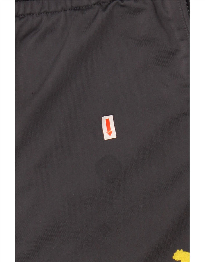 PUMA muške BVB Dortmund hlače za trenirku XL u sivoj boji