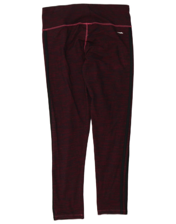 Adidas ženske tajice Climalite UK 12/14 pamuk srednje ljubičaste boje