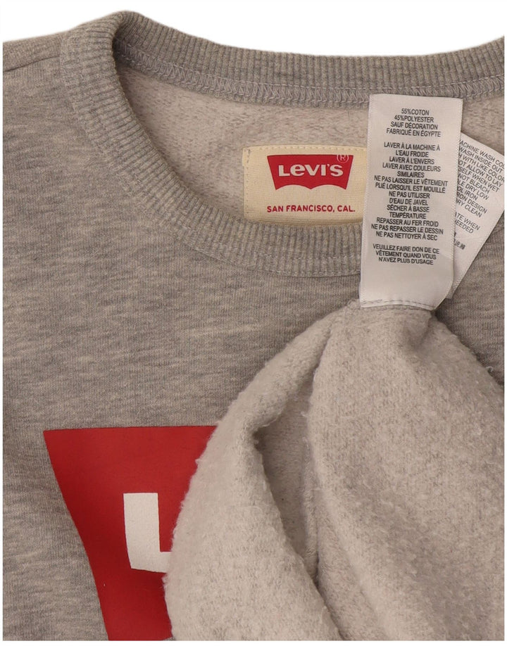 LEVI'S Boys Graphic Sweatshirt Džemper 12-13 godina sivi pamuk