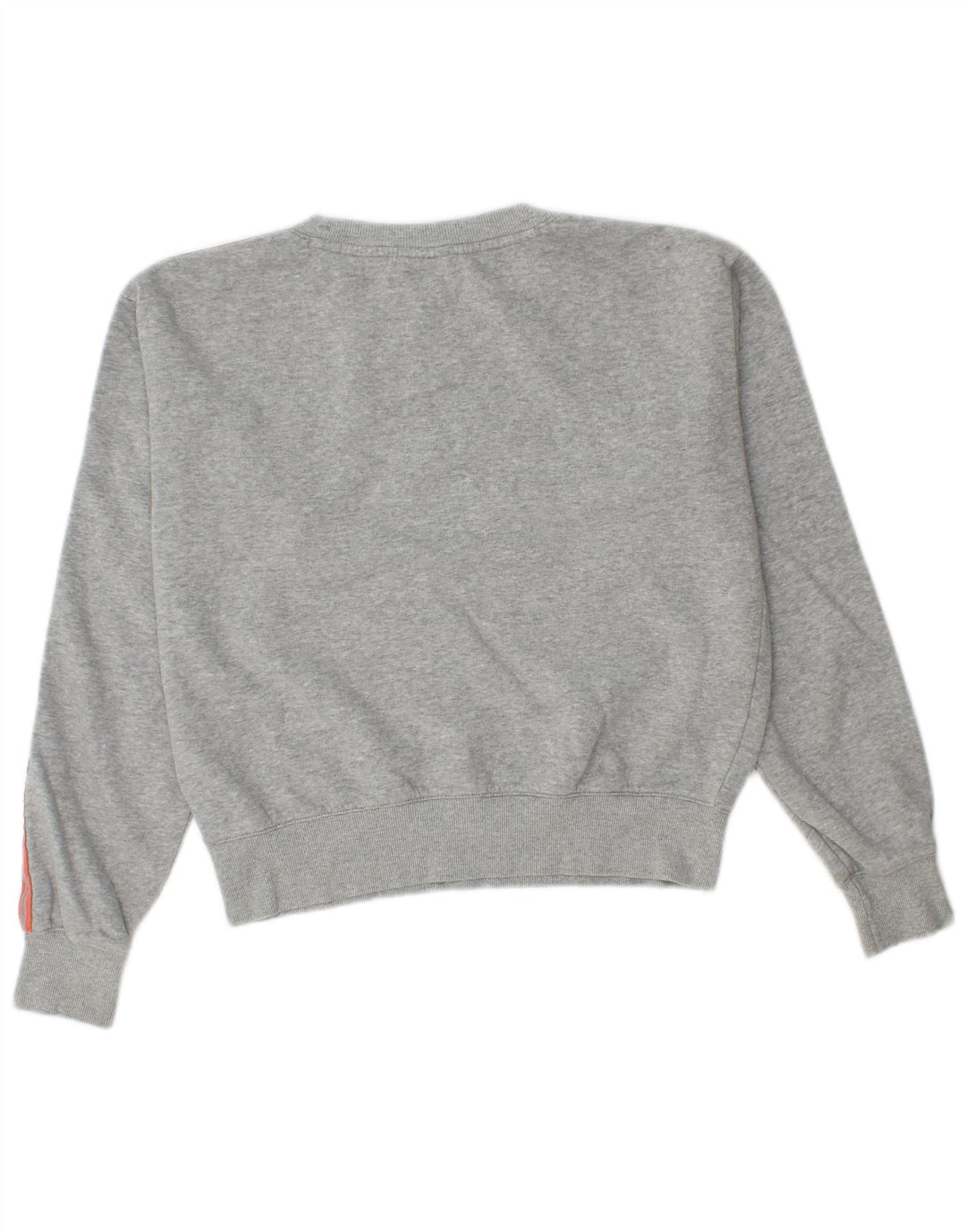 Champion ženska majica prekomjerne veličine UK 10 Small Grey Flected