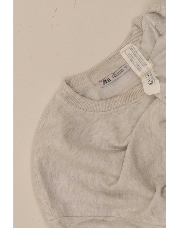 Zara ženska prekomjerna majica s kratkim rukavima UK 10 Small Grey Flected