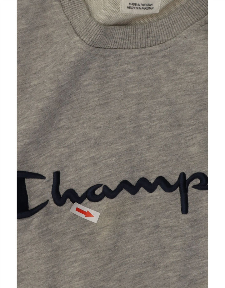 Champion muški džemper s grafičkim motivima 2XL, sivi flekasti pamuk