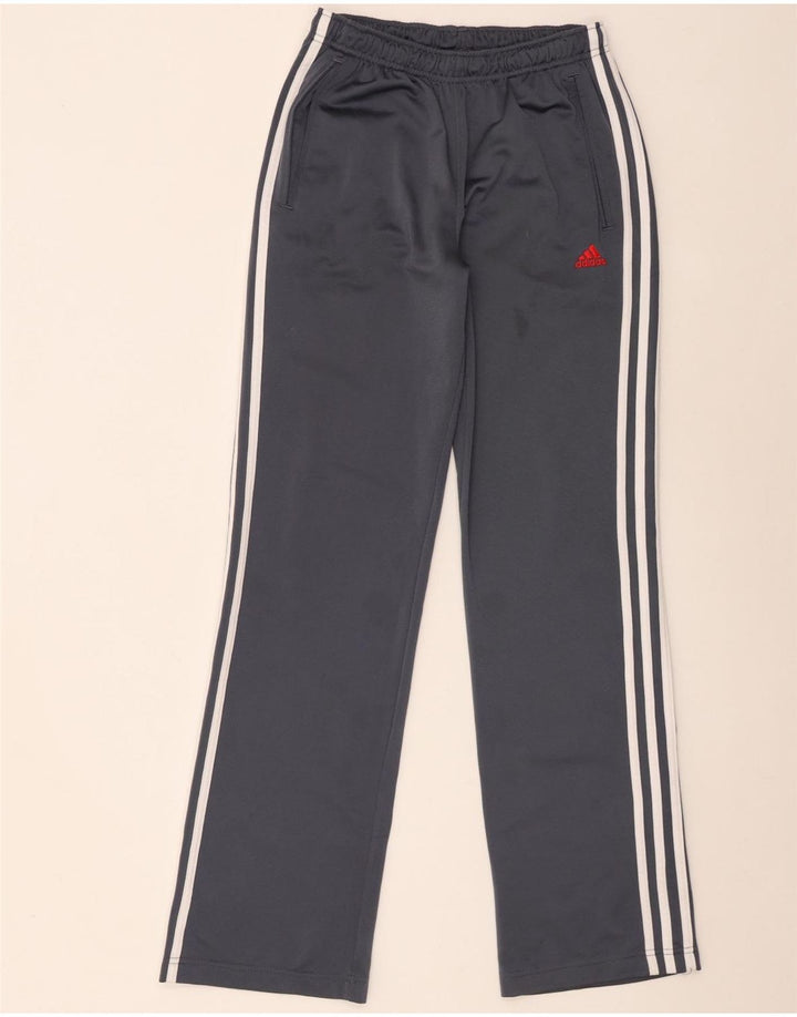 Adidas Hlače za trenirku za dječake 15-16 godina sive od poliestera