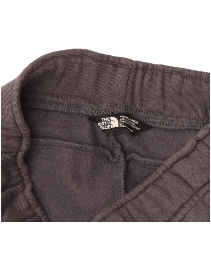 THE NORTH FACE Trenirka Hlače za dječake Joggers 7-8 Years Small Grey