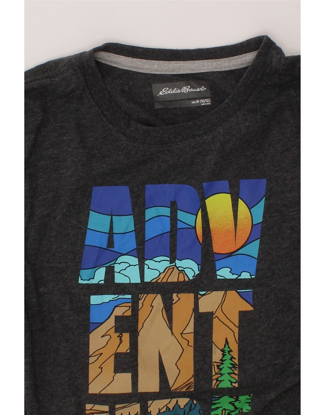 EDDIE BAUER Boys Graphic T-Shirt Top 10-11 Years Medium  Grey Nature Vintage Eddie Bauer and Second-Hand Eddie Bauer from Messina Hembry 