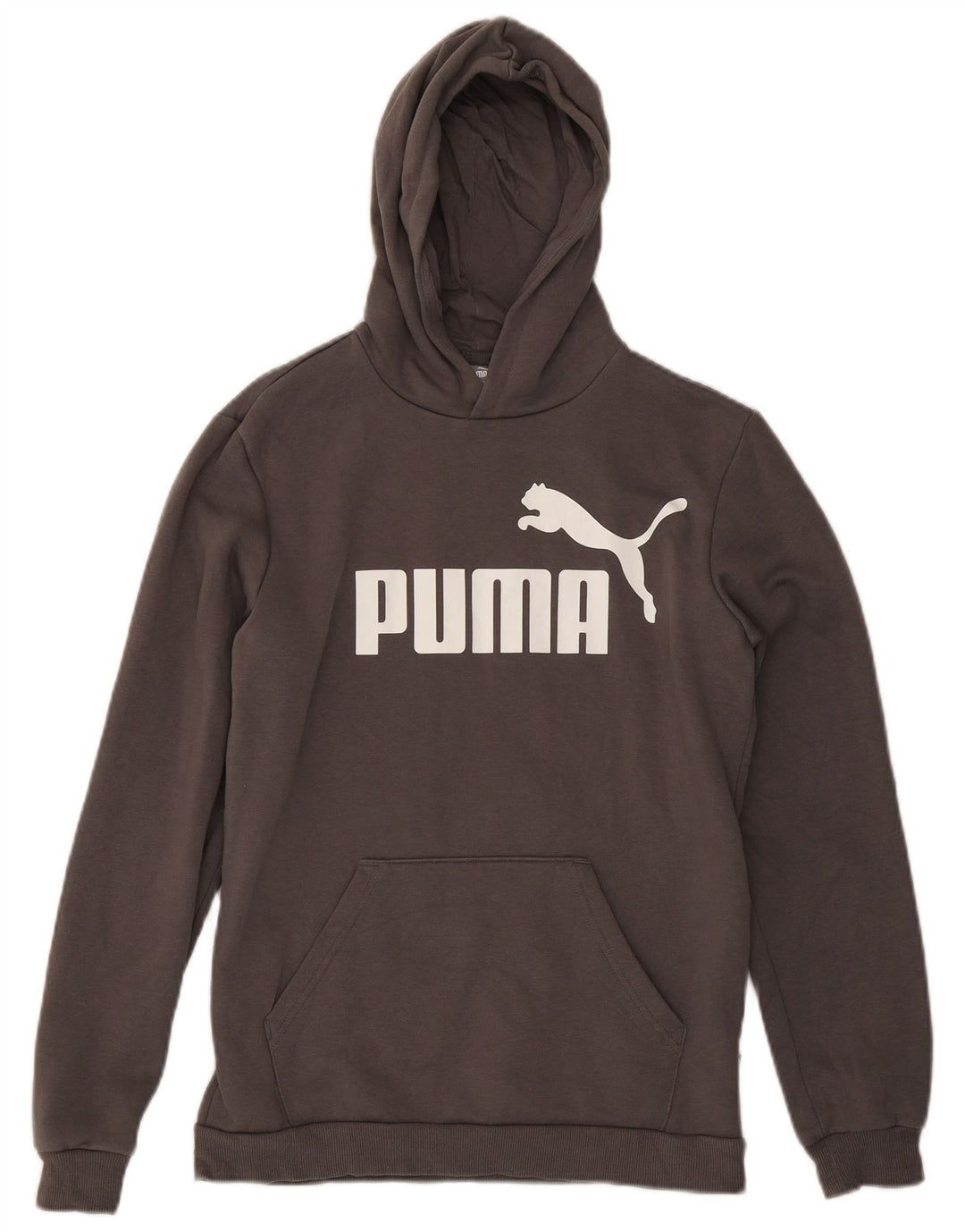 PUMA majica s kapuljačom za dječake, 15-16 godina, sivi pamuk