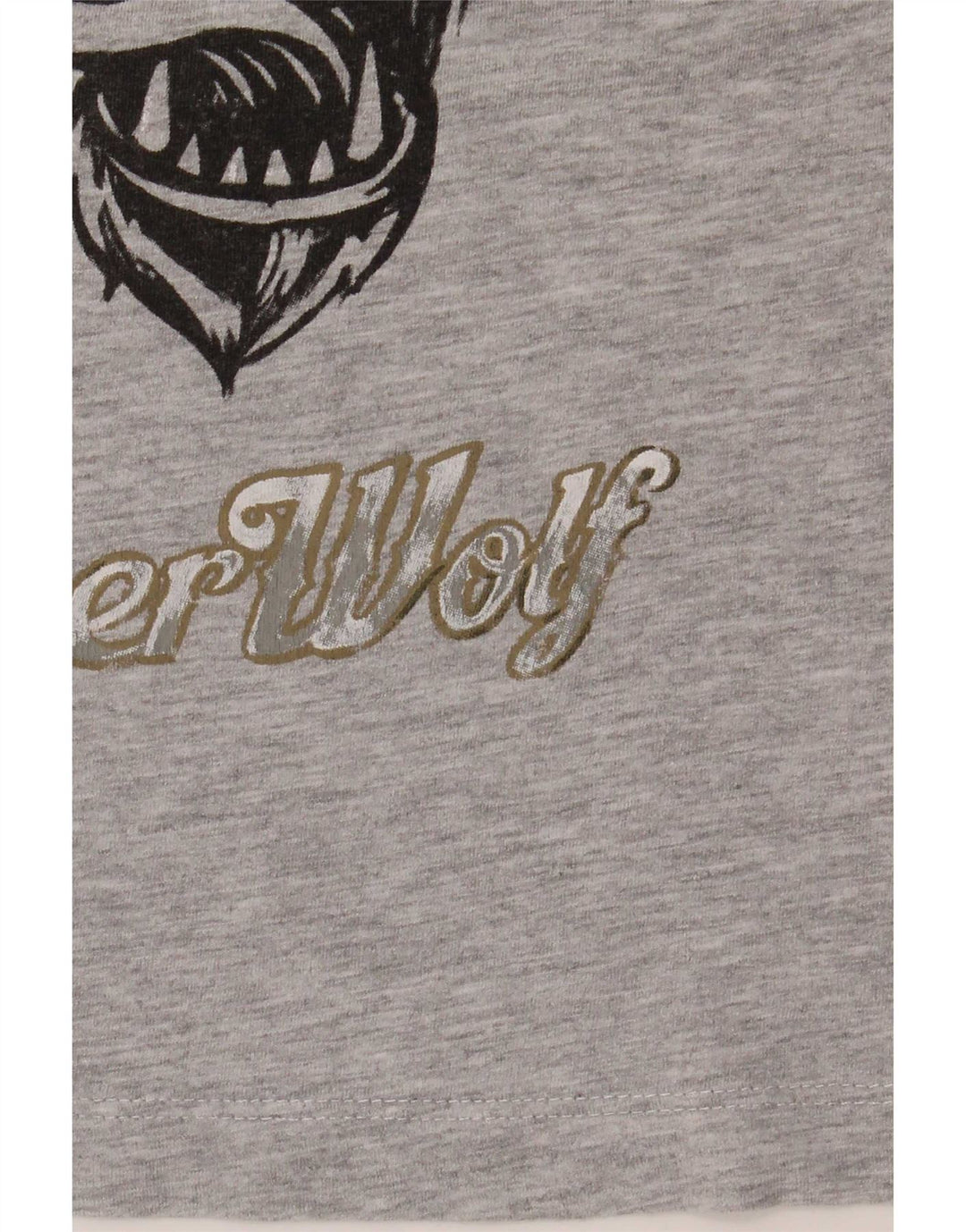 Majica kratkih rukava Zara Boys Graphic T-Shirt 7-8 Years Grey
