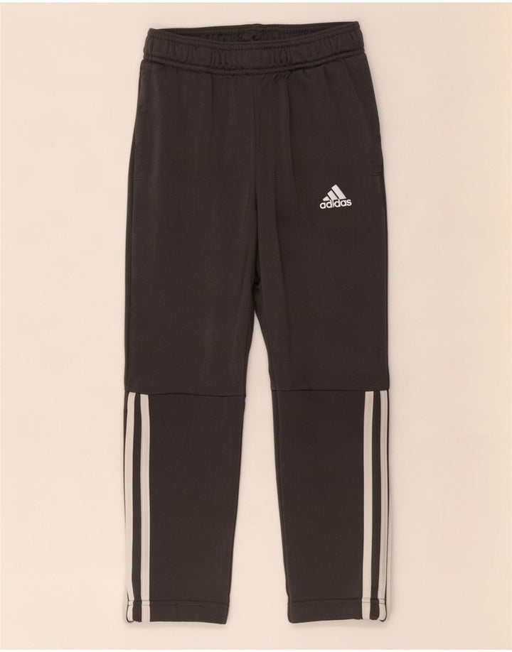 Adidas Hlače za trenirku za dječake 7-8 godina sive od poliestera