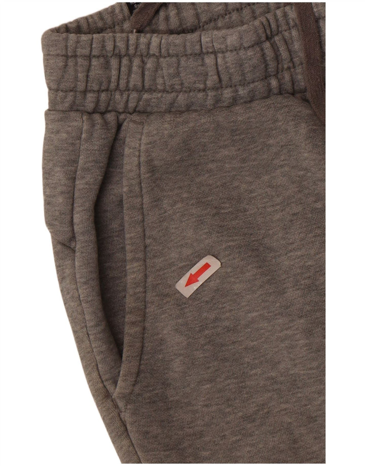 Puma muške trenirke Hlače Joggers male sive