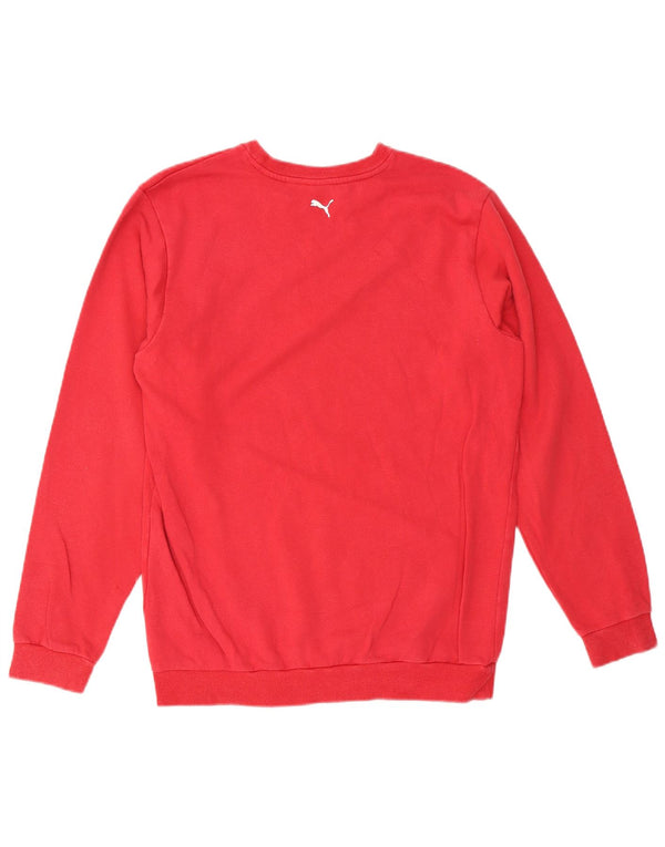 PUMA Boys Graphic Sweatshirt Džemper 15-16 godina, crveni pamuk
