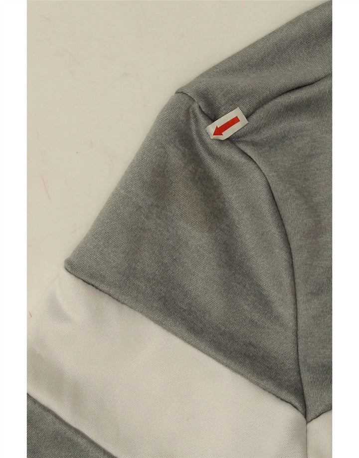 Muški džemper Ellesse Graphic Sweatshirt Mali poliester u sivoj boji