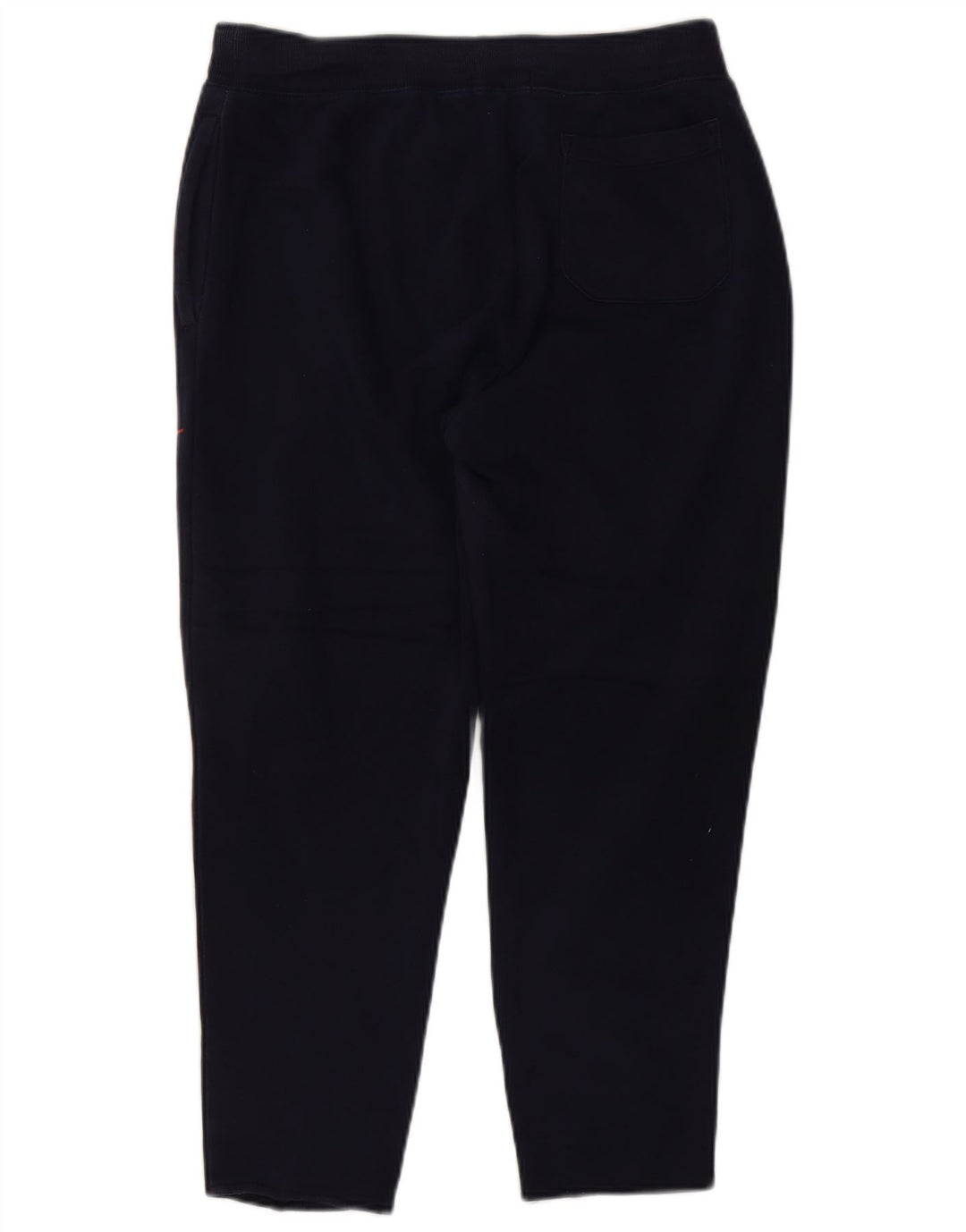 POLO RALPH LAUREN Muške hlače trenirke s grafičkim motivima Srednje tamnoplavi pamuk