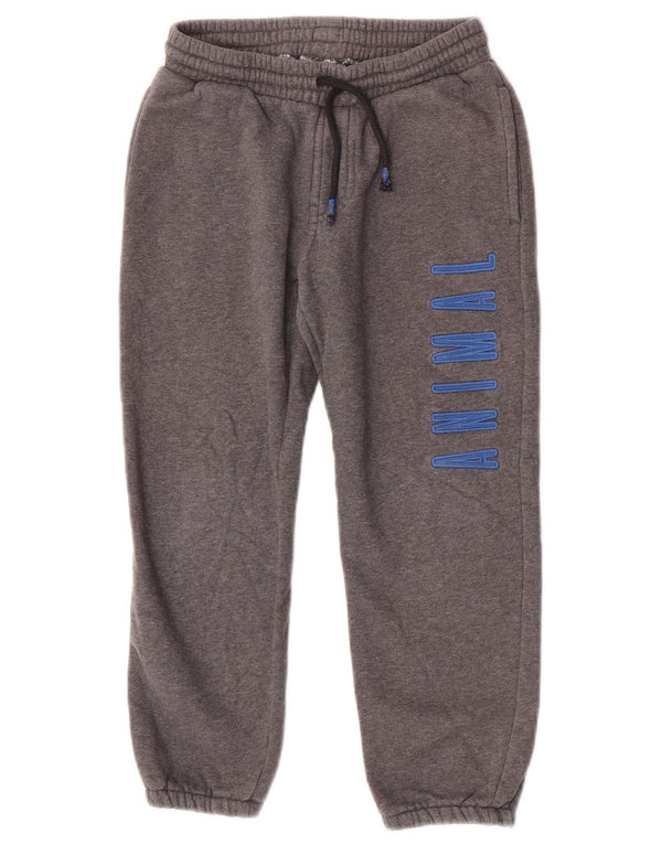 Animal Boys Graphic Trenirka Hlače Joggers 7-8 godina Sivi pamuk