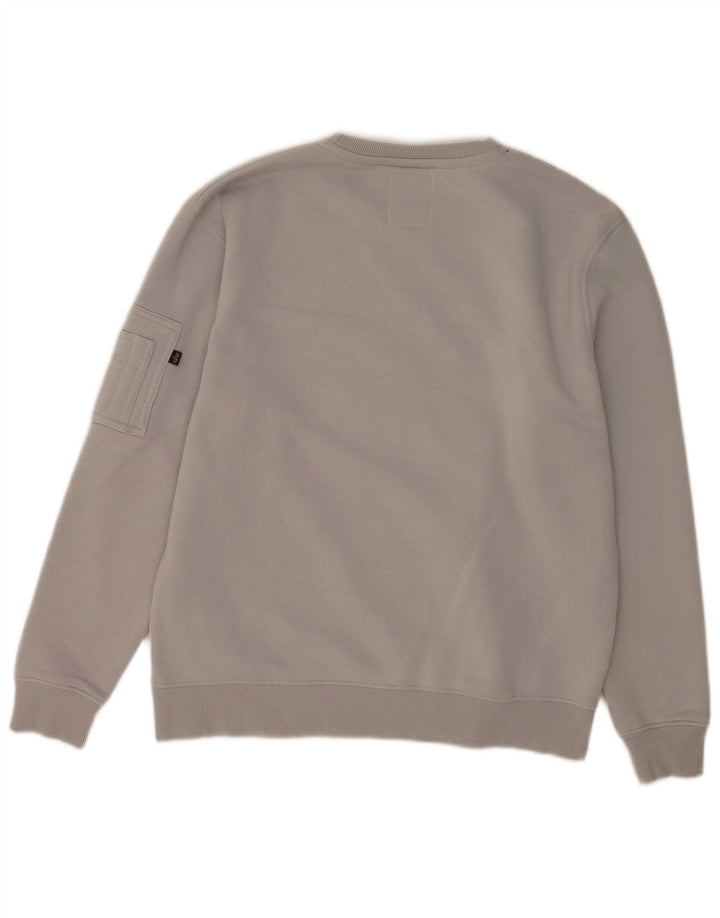 Alpha Industries muška majica s grafičkim motivima, veliki sivi pamuk