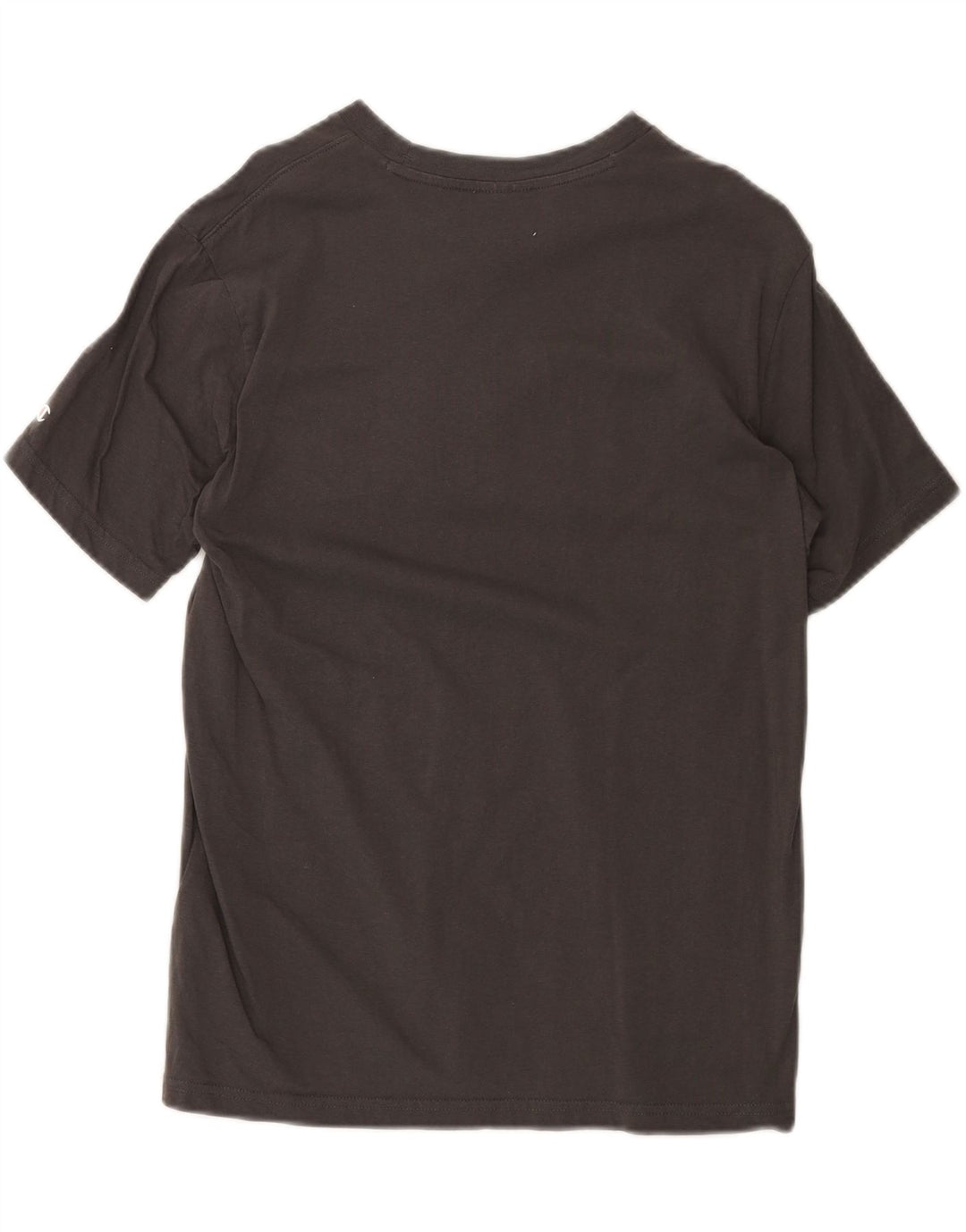 CHAMPION Mens Graphic T-Shirt Top Small Grey Cotton Vintage Champion and Second-Hand Champion from Messina Hembry 