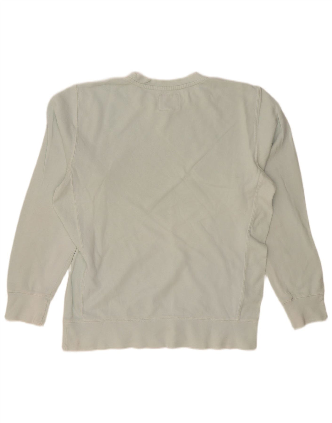 AMERICAN EAGLE Muški džemper srednje plavi pamuk s grafičkim motivima