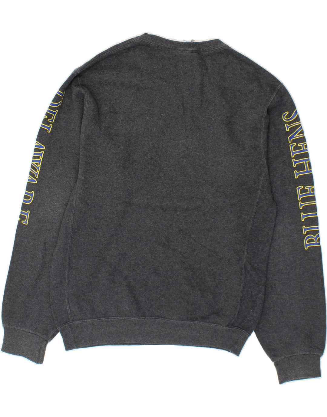 RUSSELL ATHLETIC Mens Delaware Graphic Sweatshirt Jumper Small Grey Cotton Vintage Russell Athletic and Second-Hand Russell Athletic from Messina Hembry 