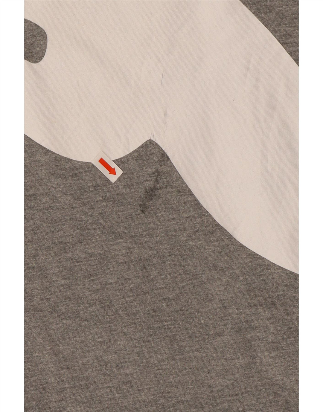 PUMA Muška majica kratkih rukava s grafičkim motivima 2XL siva